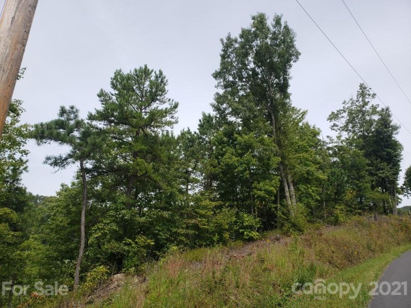 Property image 4 at 00 Mountainside Drive, Bryson City, NC 28713