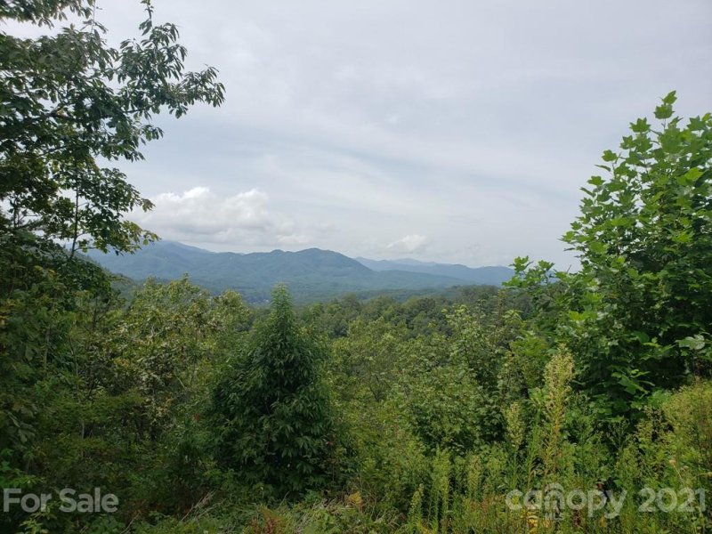Property image 5 at 00 Mountainside Drive, Bryson City, NC 28713