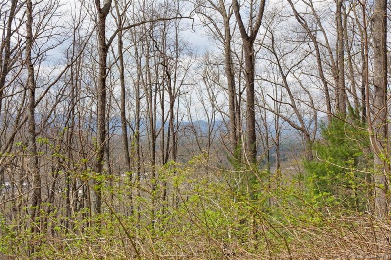 Property image 4 at 19 Giffords Lane, Asheville, NC 28803