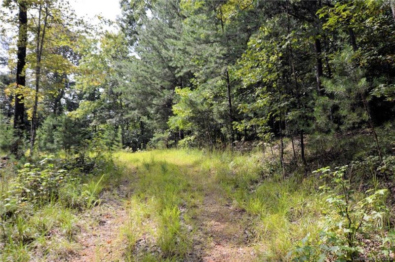 Property image 3 at 0 Riverknoll Way, Tryon, NC 28782