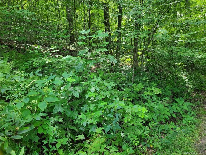 Property image 4 at 99999 Caperton Point Road, Swannanoa, NC 28778