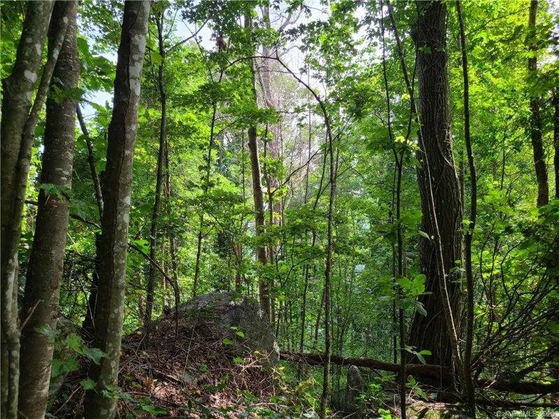 Property image 5 at 99999 Caperton Point Road, Swannanoa, NC 28778