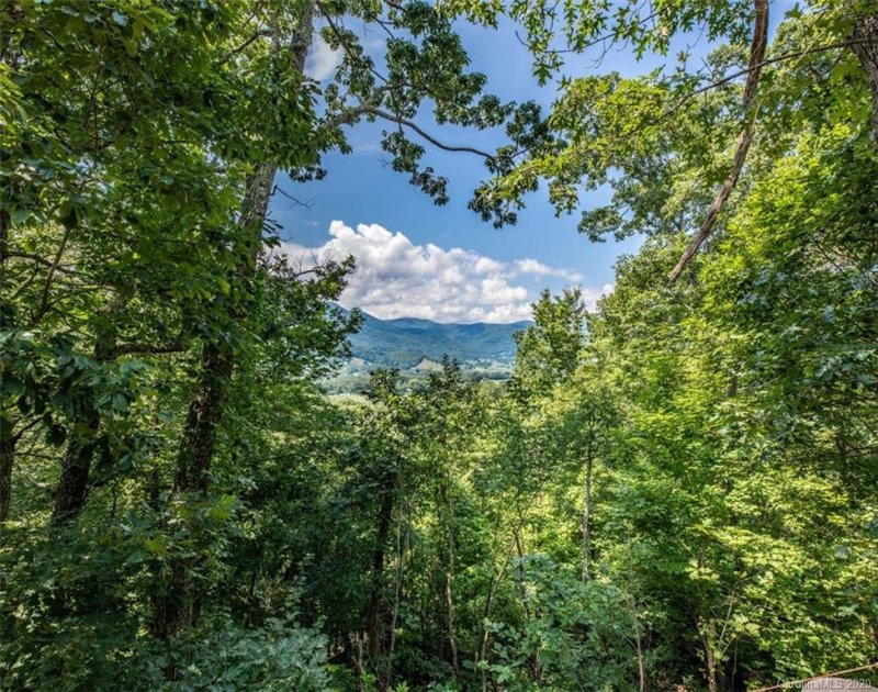 Property image 5 at 234 Fall Creek Road, Waynesville, NC 28785