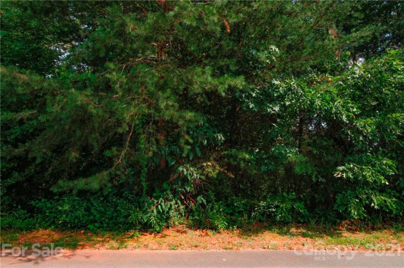 Property image 3 at Lot 58 Hollymoorside Drive, Columbus, NC 28722