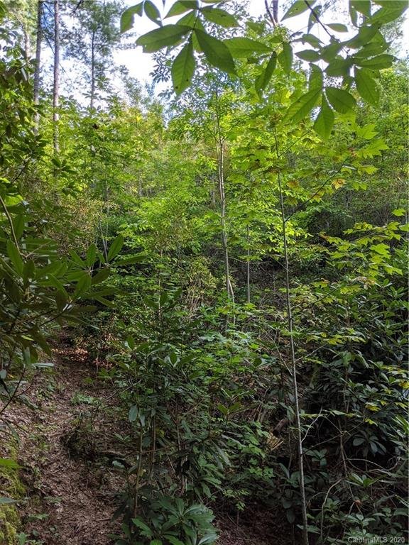 Property image 2 at Lot 17 Rock Creek Trail Road, Brevard, NC 28712