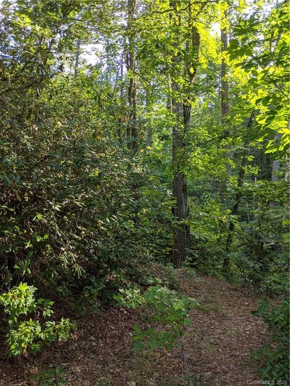 Property image 4 at Lot 17 Rock Creek Trail Road, Brevard, NC 28712