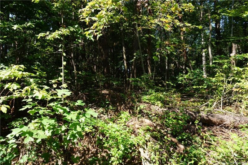 Property image 3 at 3829 Mill Run, Terrell, NC 28682