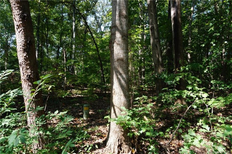 Property image 4 at 3829 Mill Run, Terrell, NC 28682