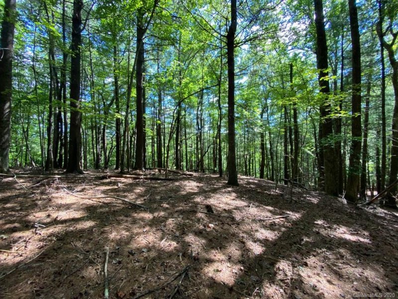 Property image 2 at Tbd Sassafras Road, Cedar Mountain, NC 28718