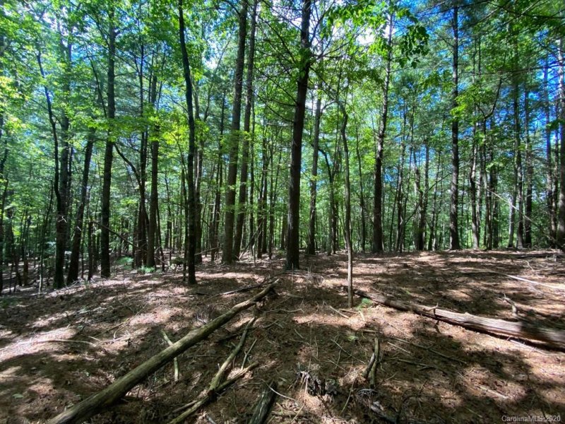 Property image 3 at Tbd Sassafras Road, Cedar Mountain, NC 28718