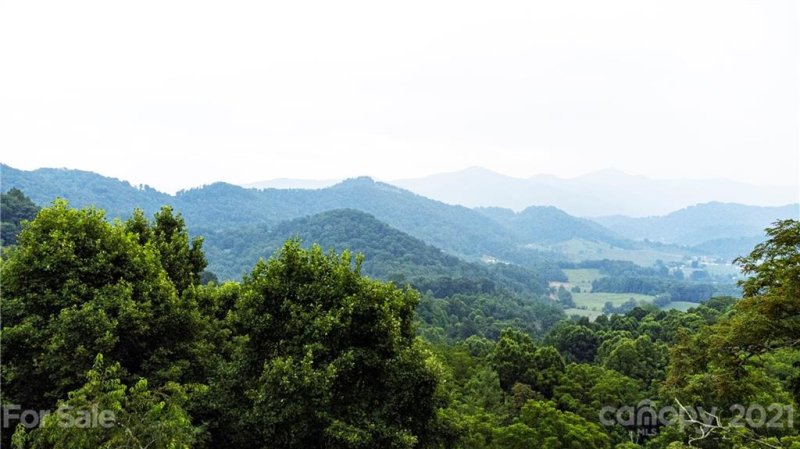 Property image 3 at 1450 Utah Mountain Road, Waynesville, NC 28785