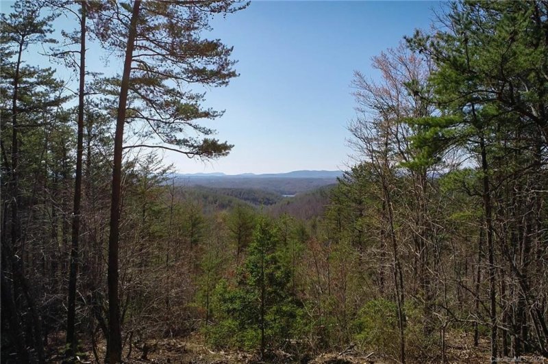 Property image 4 at 0 Pisgah Preserve None, Nebo, NC 28761