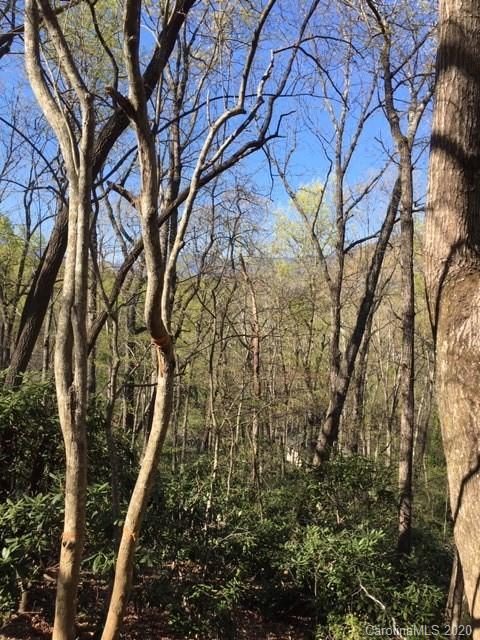 Property image 4 at 99999 Hilltop Road, Black Mountain, NC 28711