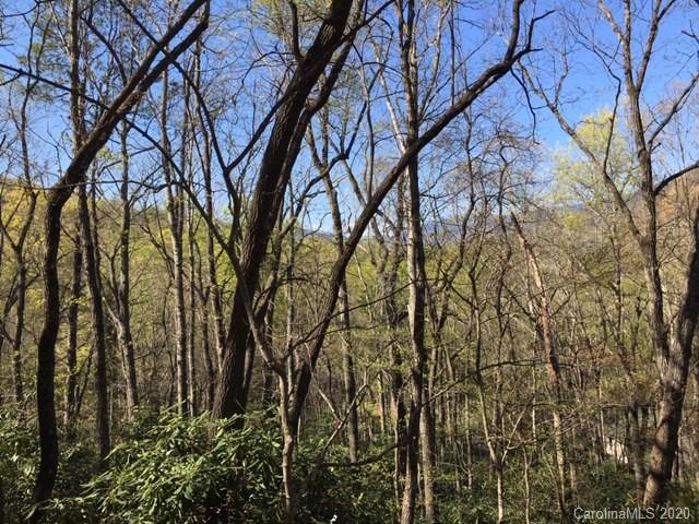 Property image 5 at 99999 Hilltop Road, Black Mountain, NC 28711