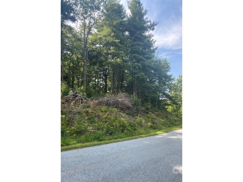Property image 3 at Lot 5 Holiday Drive, Hendersonville, NC 28739