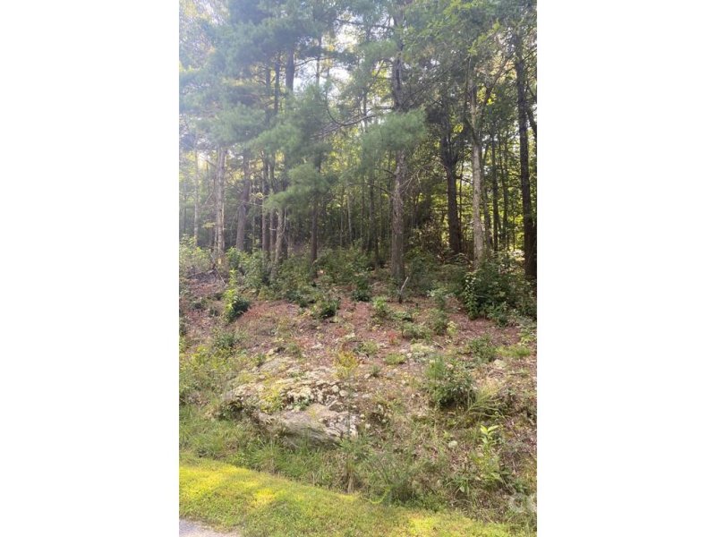 Property image 4 at Lot 5 Holiday Drive, Hendersonville, NC 28739