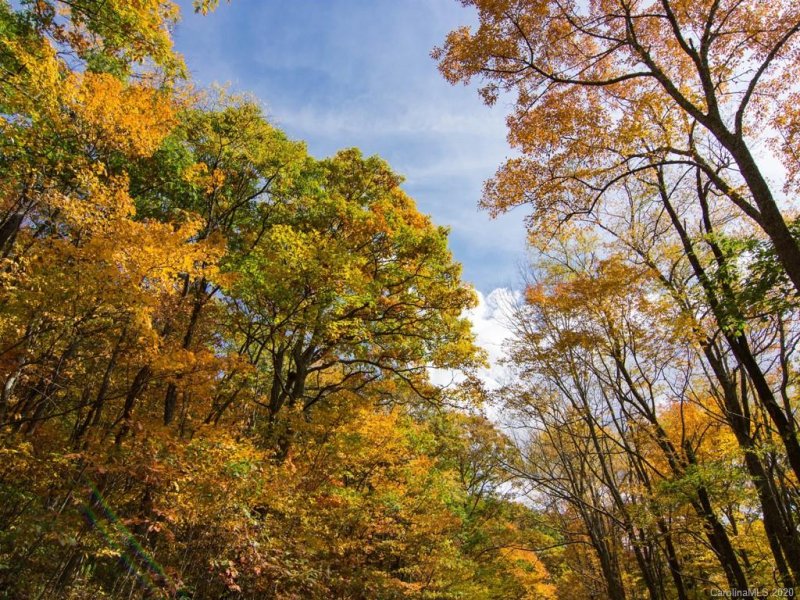 9999 Eagle Bald Trail