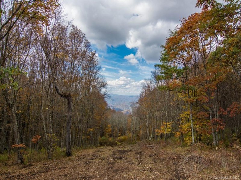 Property image 3 at 9999 Eagle Bald Trail, Burnsville, NC 28714