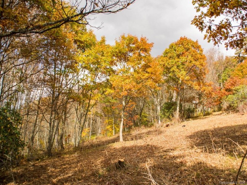 Property image 4 at 9999 Eagle Bald Trail, Burnsville, NC 28714