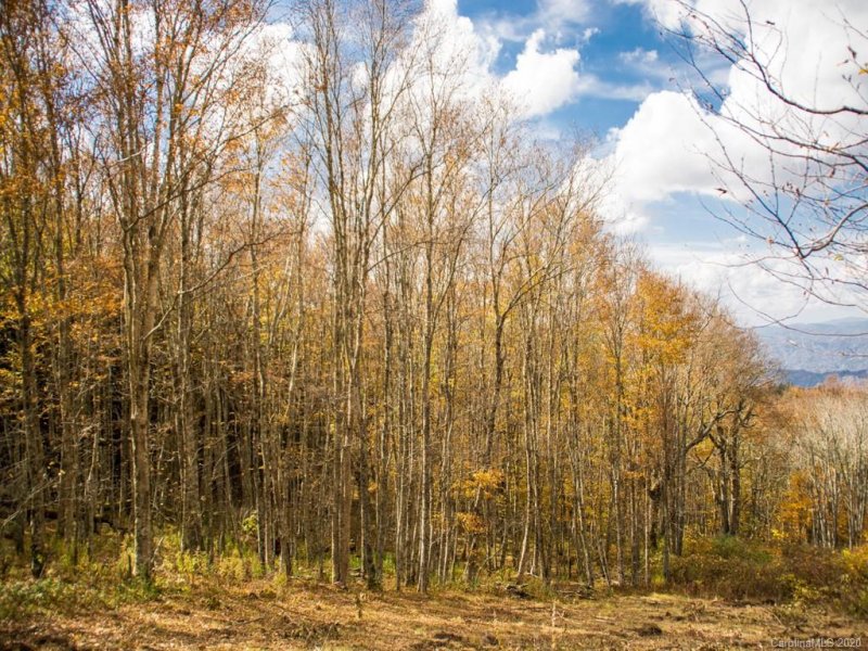 Property image 5 at 9999 Eagle Bald Trail, Burnsville, NC 28714