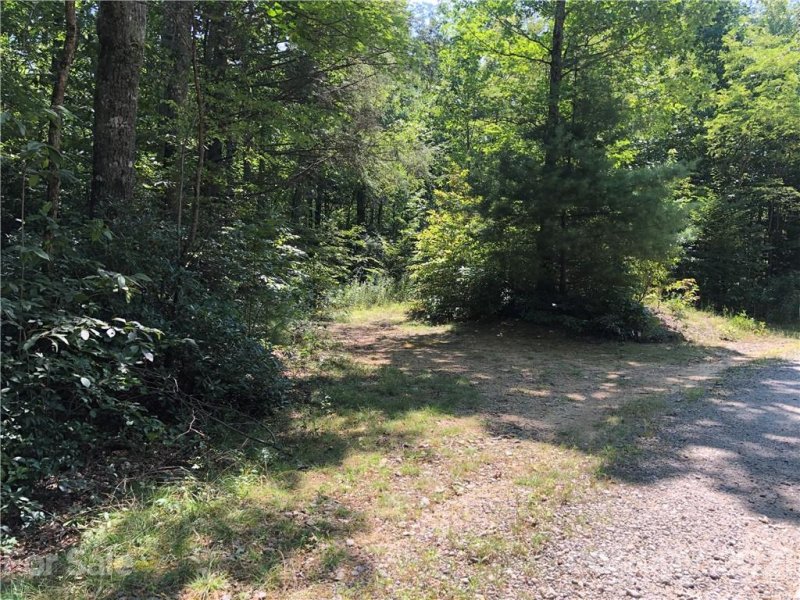 Property image 3 at 99999 Pinebluff Road, Hendersonville, NC 28792