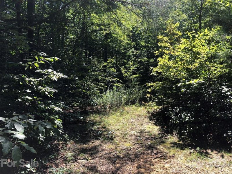 Property image 4 at 99999 Pinebluff Road, Hendersonville, NC 28792