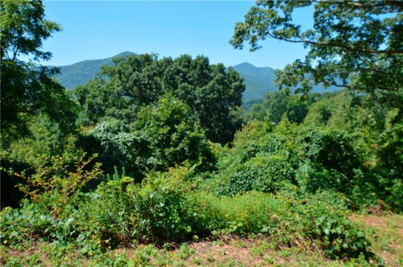 Property image 4 at 20 Tanner Trail, Waynesville, NC 28785