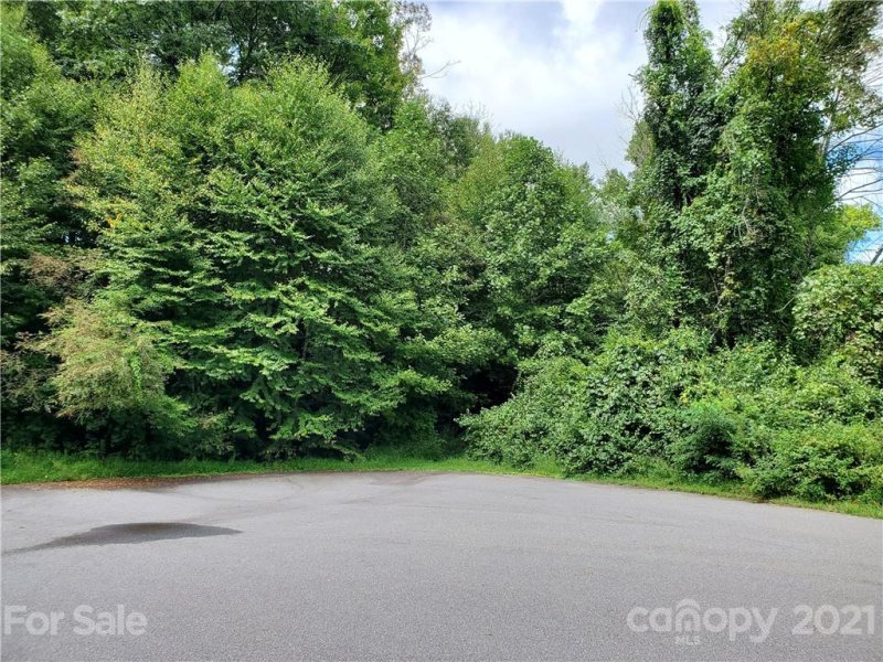 Property image 2 at 11 Little Creek Court, Leicester, NC 28748