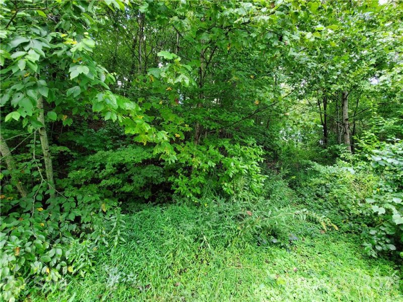 Property image 3 at 11 Little Creek Court, Leicester, NC 28748