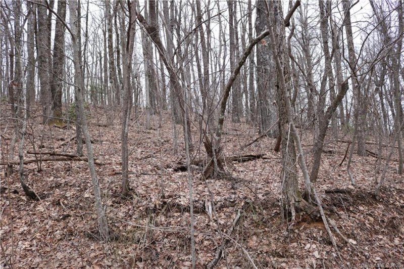 516 River Ridges Road