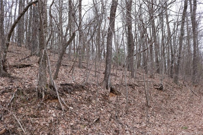 Property image 2 at 516 River Ridges Road, Hendersonville, NC 28739