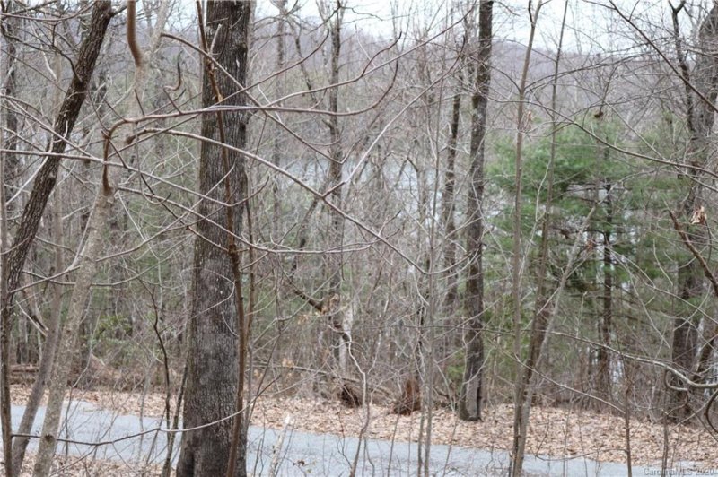 Property image 3 at 516 River Ridges Road, Hendersonville, NC 28739