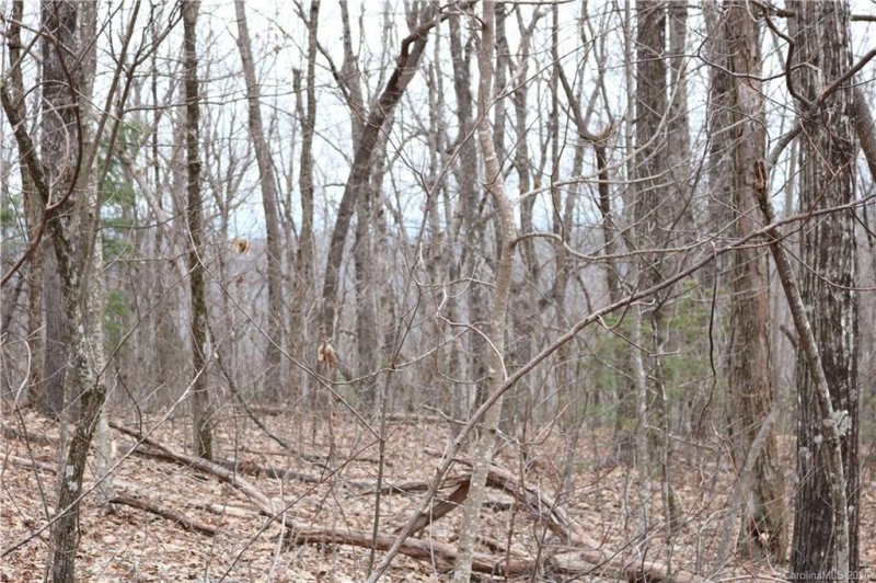 Property image 4 at 516 River Ridges Road, Hendersonville, NC 28739