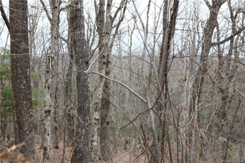 Property image 5 at 516 River Ridges Road, Hendersonville, NC 28739