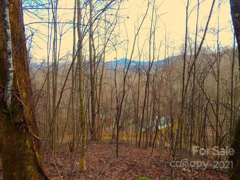 Property image 2 at Lot 505 Kitty Lane, Waynesville, NC 28786