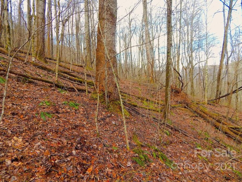 Property image 3 at Lot 505 Kitty Lane, Waynesville, NC 28786