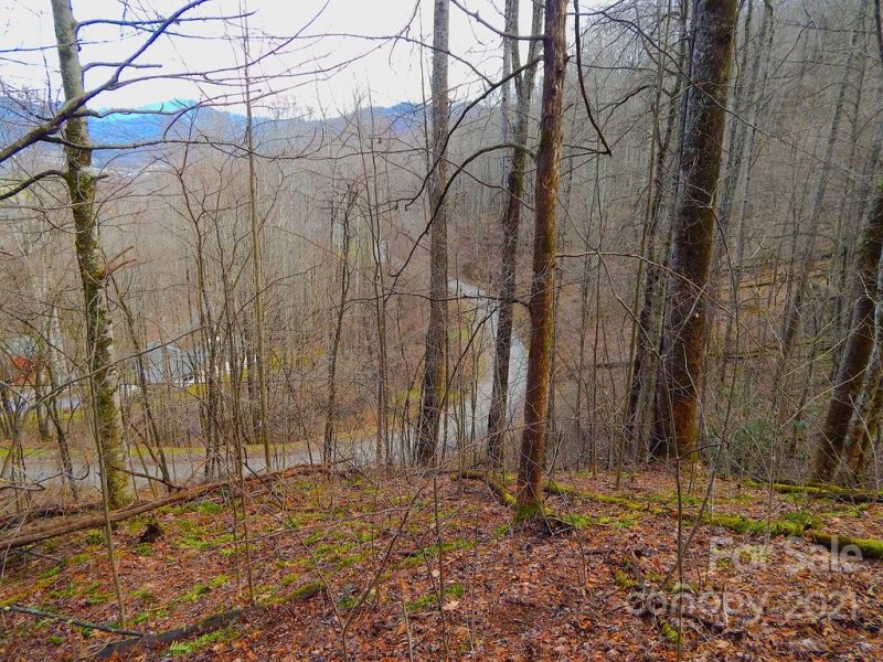 Property image 4 at Lot 505 Kitty Lane, Waynesville, NC 28786