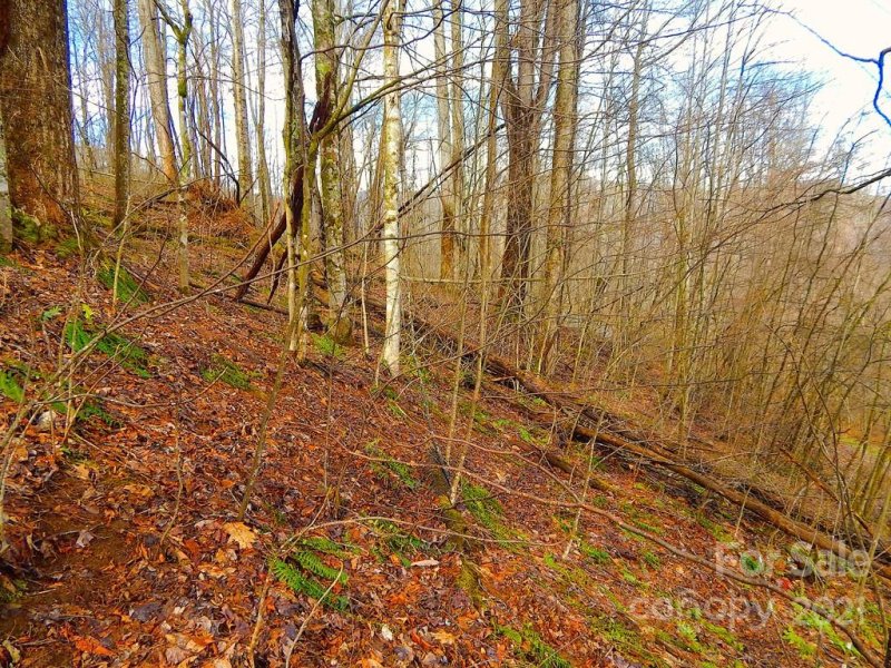 Property image 5 at Lot 505 Kitty Lane, Waynesville, NC 28786