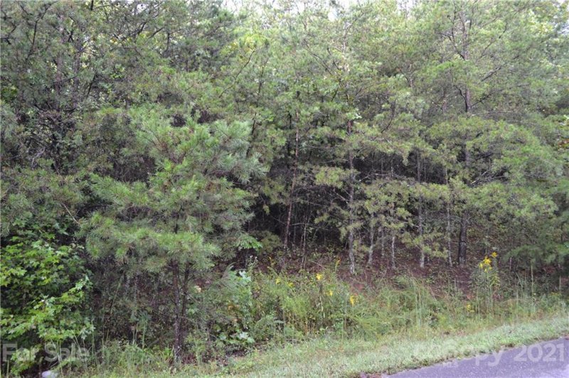 Property image 2 at 2909 Dalton Drive, Morganton, NC 28655