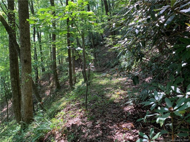 Tract 12 B Pickens Highway