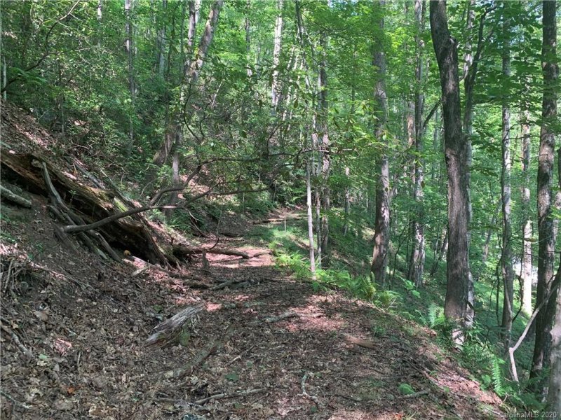 Property image 5 at Tract 12 B Pickens Highway, Rosman, NC 28772
