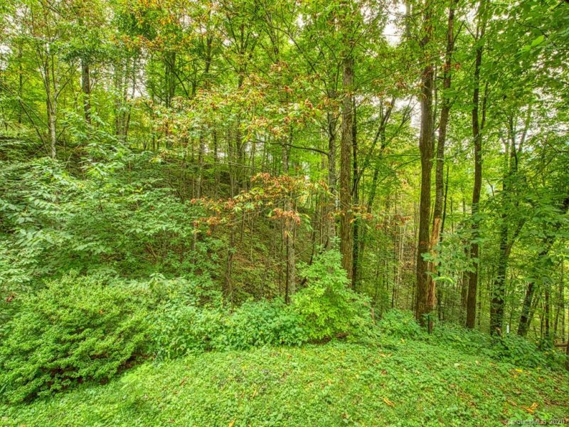 Property image 4 at 72 Hi Nuff Lane, Maggie Valley, NC 28751