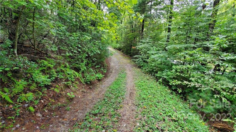 Property image 4 at 000 Noahs Ark Way, Zirconia, NC 28790