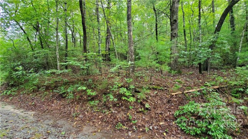 Property image 5 at 000 Noahs Ark Way, Zirconia, NC 28790