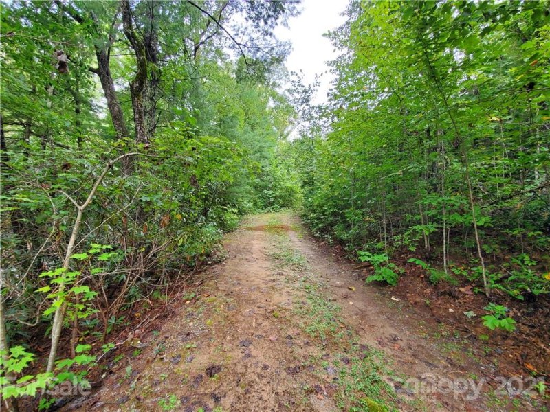 Property image 3 at 000 N Noahs Ark Way, Zirconia, NC 28790