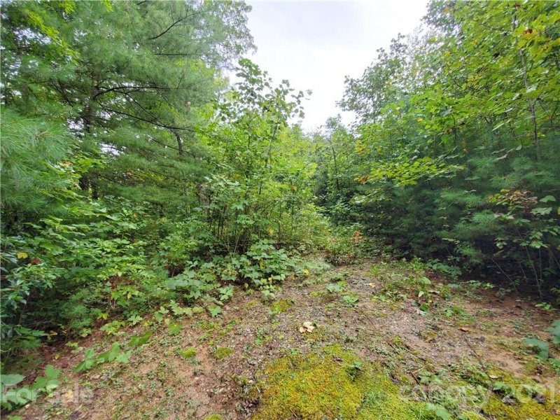 Property image 4 at 000 N Noahs Ark Way, Zirconia, NC 28790