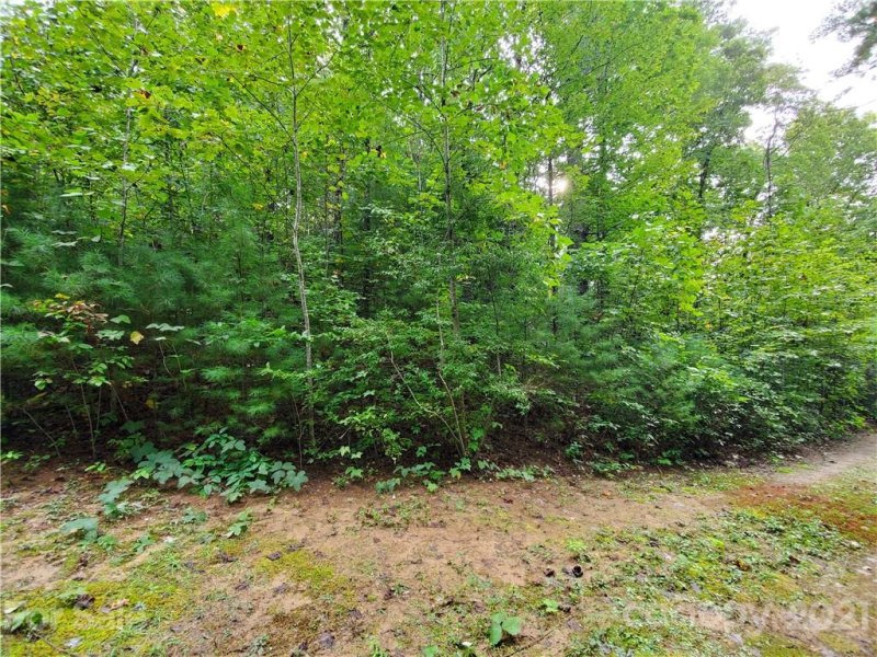 Property image 5 at 000 N Noahs Ark Way, Zirconia, NC 28790