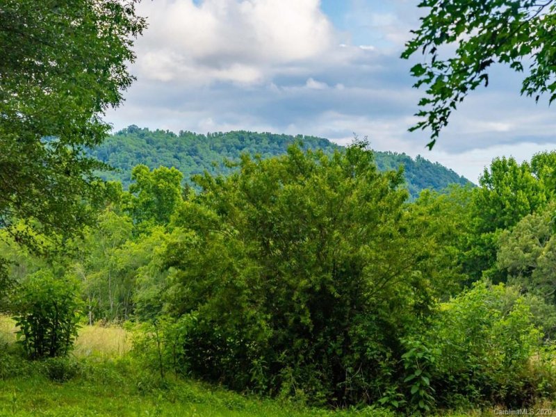 Property image 3 at 200 Turkey Ridge Road, Fletcher, NC 28732