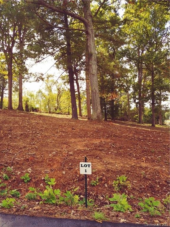 Property image 5 at 17 Baxter Woods Lane, Candler, NC 28715