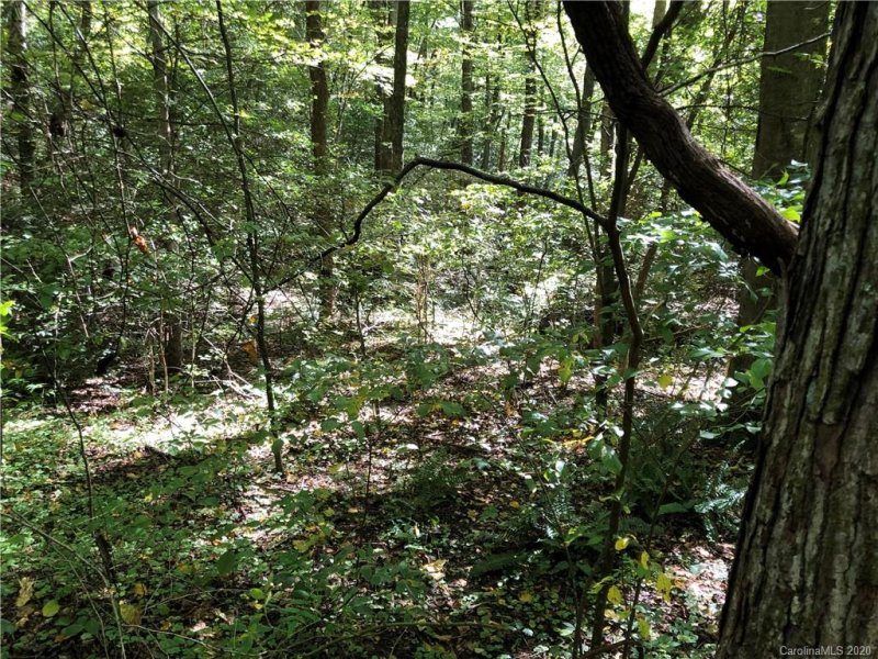Property image 3 at 1 14 Ac Of Lot 79 Haven Drive, Saluda, NC 28773